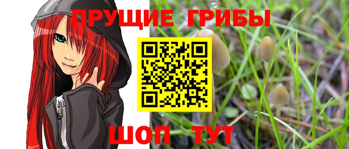 Псилоцибиновые грибы GOLDEN TEACHER  Вход с VPN  Галлюциногенные грибы MAGIC MUSHROOMS  Новодвинск 